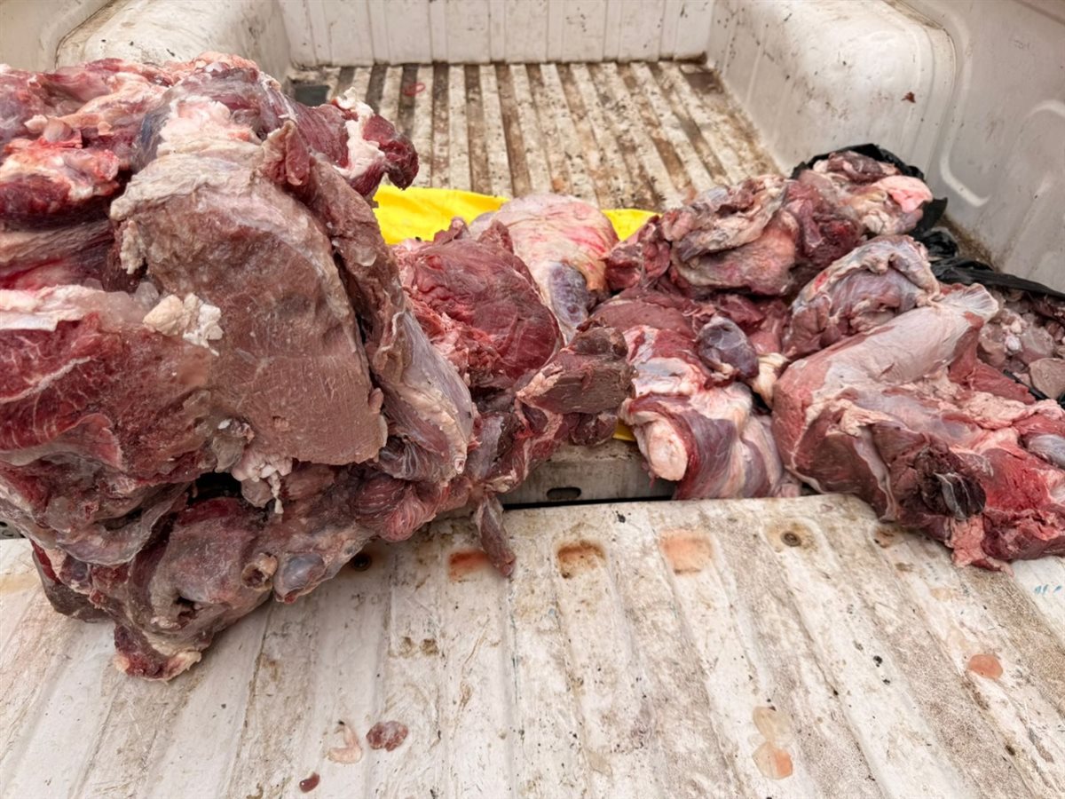 تموين الفيوم: يضبط ٩٠ كيلو لحوم بقري غير صالح للاستهلاك الادمي