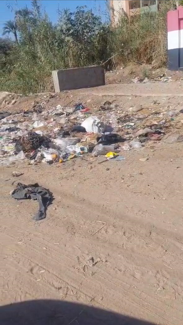 رئيس مركزابشواى تتابع أعمال غرس وزراعة الأشجار ضمن المبادرة الرئاسية 100 مليون شجرة