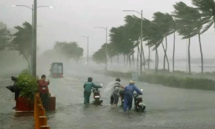 <strong>إعصار تينو في الفلبين</strong>