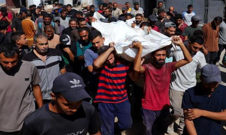 <strong>غزة</strong>