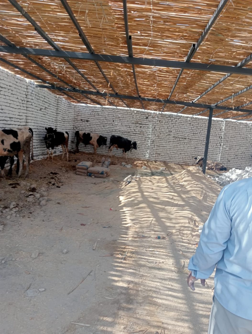 إزالة حالة تعد بالبناء المخالف بقرية كفر محفوظ بالفيوم