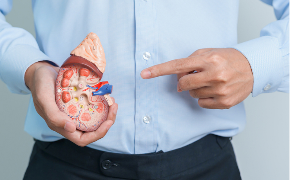 دراسة تظهر ارتفاعًا قياسيًا في انخفاض وظائف الكلى بجميع أنحاء العالم