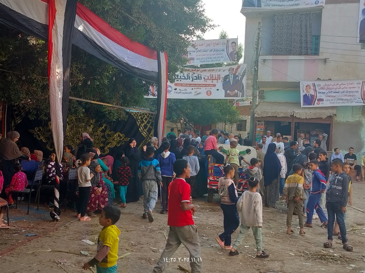 انتخابات مجلس النواب