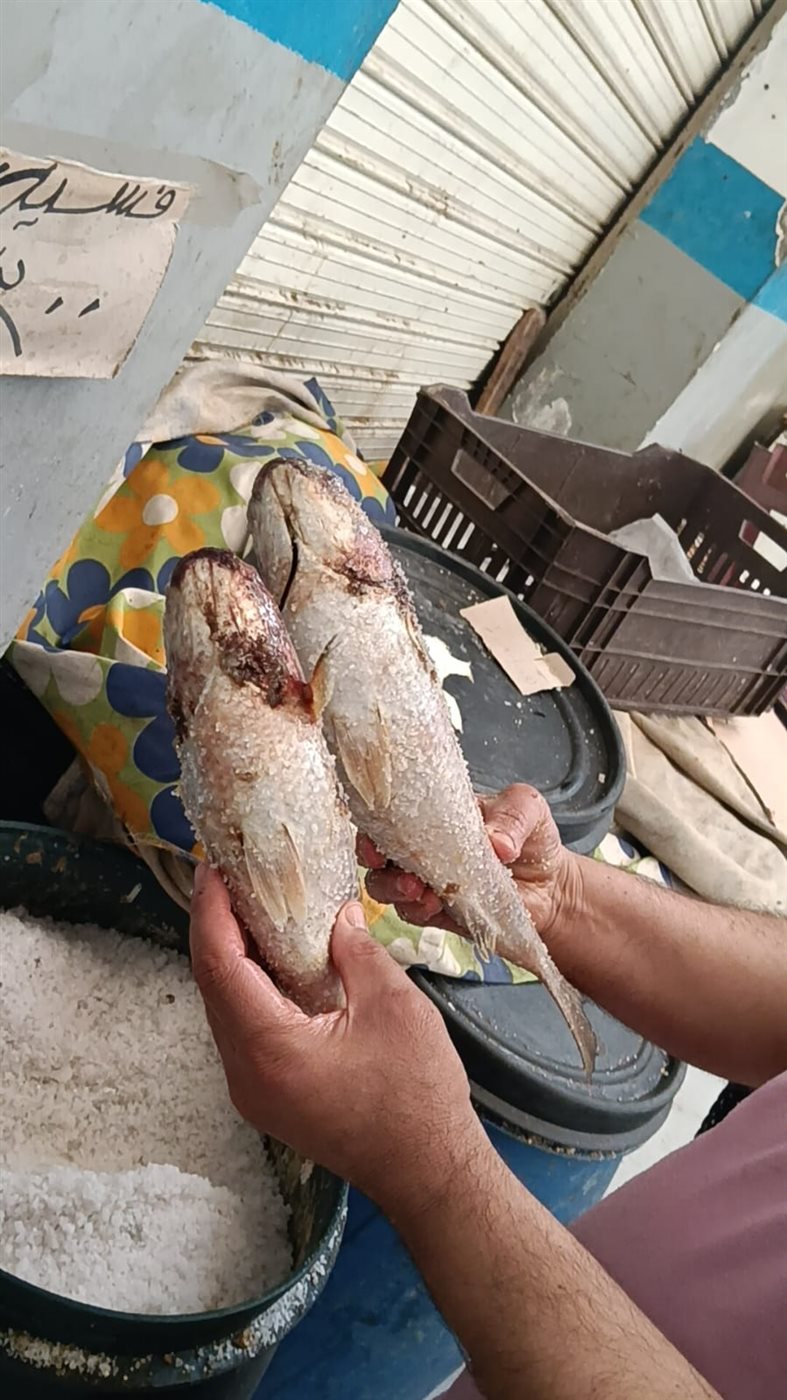  أشهر الفسخانية بالإسماعيلية 