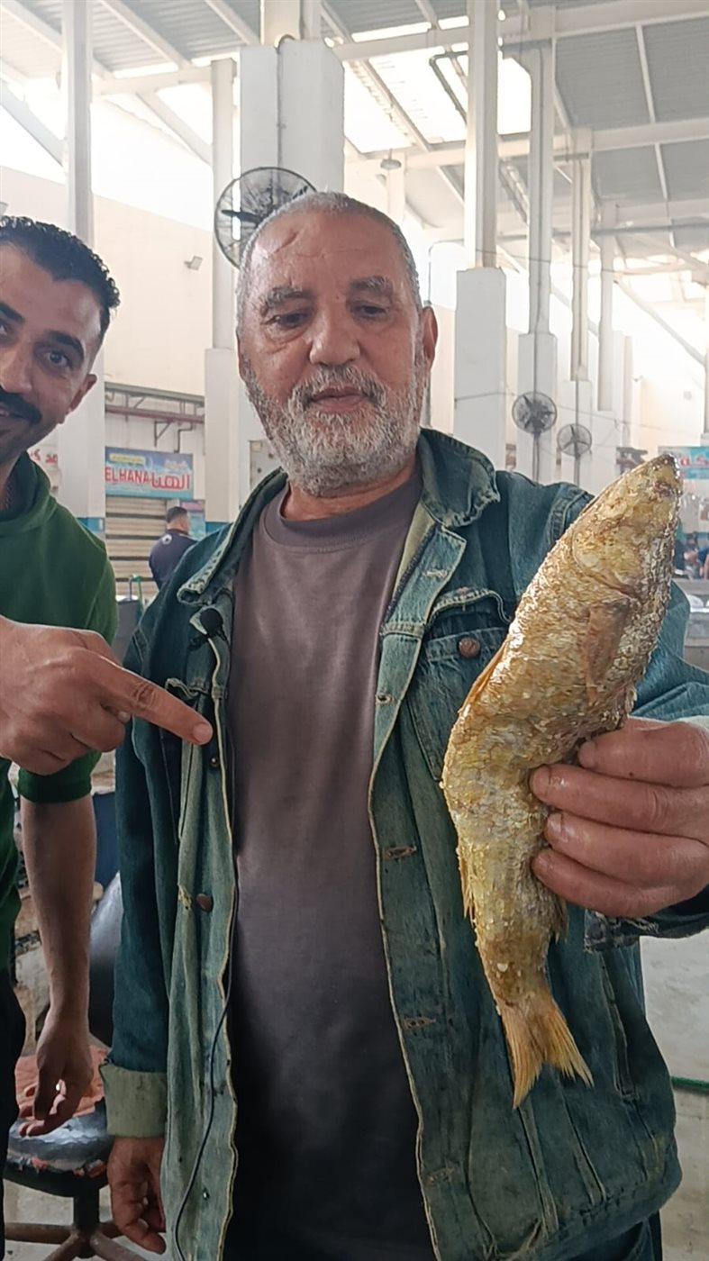  أشهر الفسخانية بالإسماعيلية 