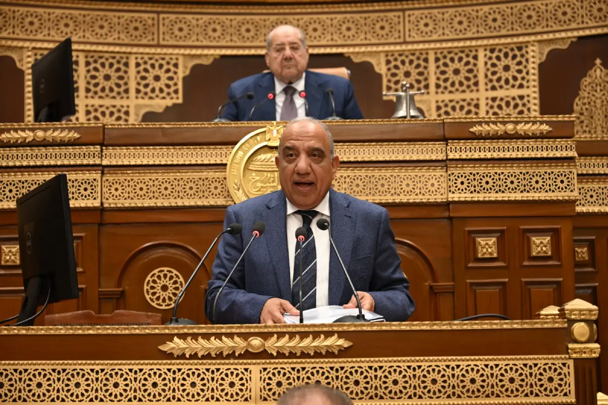 وزير الكهرباء الدكتور محمود عصمت