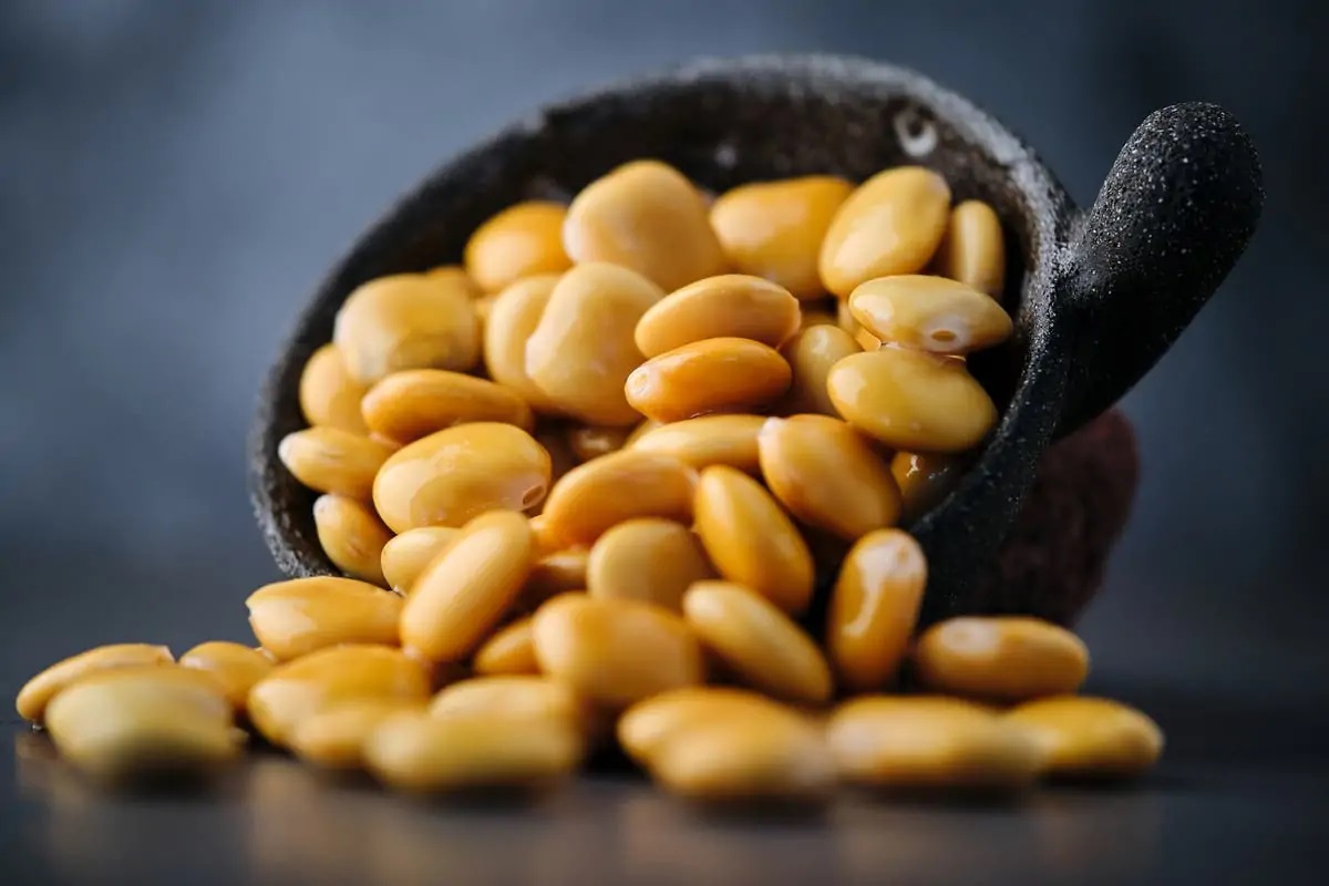 الترمس