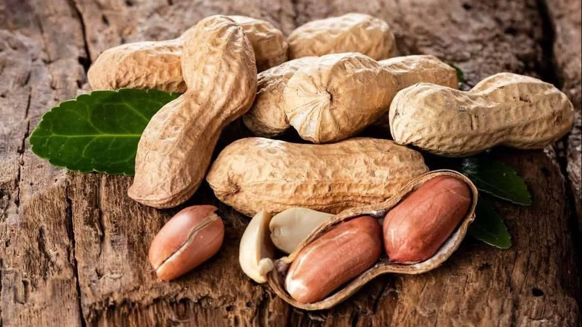 الفول السوداني&nbsp;