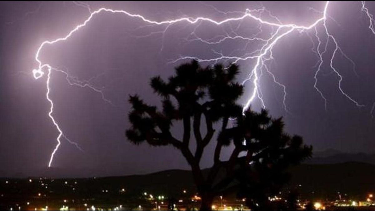 <strong>البرق</strong>