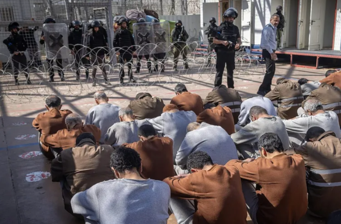 <strong>حماس</strong>