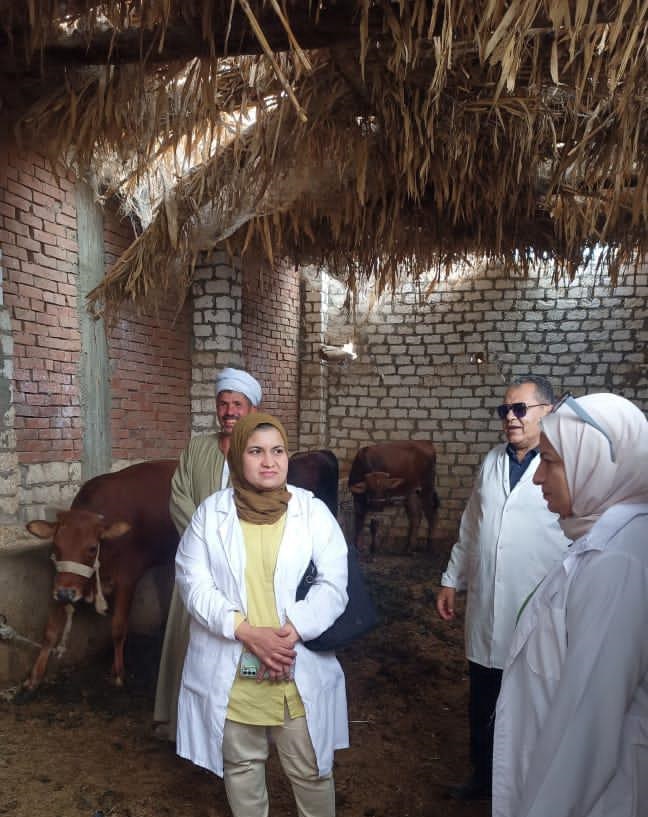 تحصين ١٨٤٠ رأس ماشية ضد مرضي الحمى القلاعية وحمى الوادي المتصدع بالفيوم 