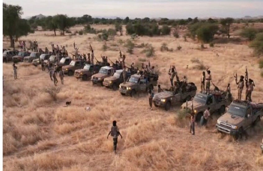 <strong>قوات الدعم السريع</strong>