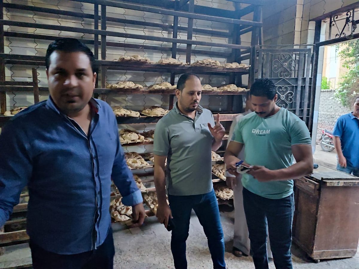 ضبط 4 طن دقيق بلدي مدعم مخابز محظور بيعه أو تداوله وسلع غذائية منتهية الصلاحية بالفيوم   