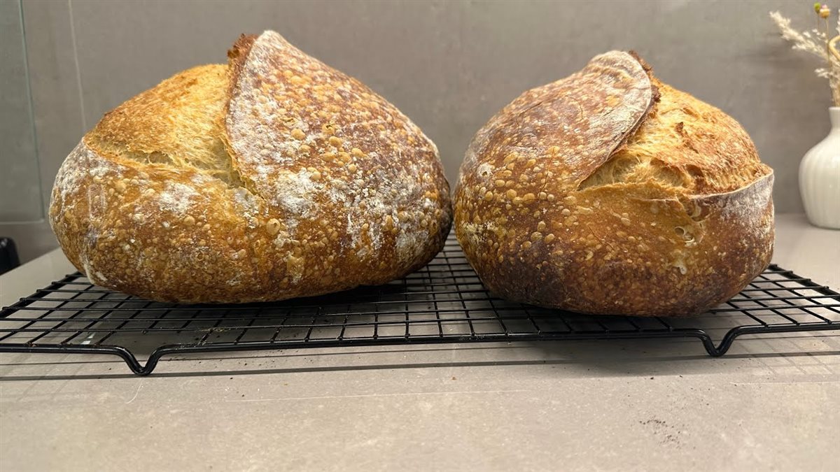 ما هو السادو دو؟ وكيفية تحضيره في المنزل