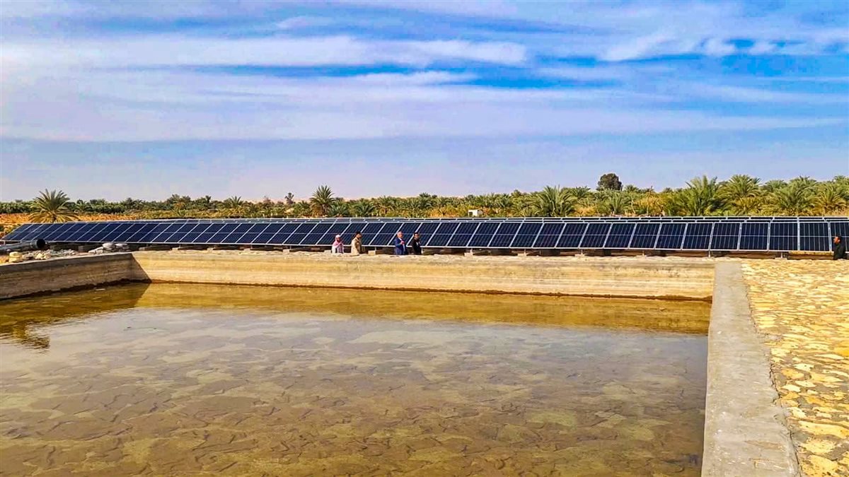 تطوير منظومة الري والصرف بواحه سيوة