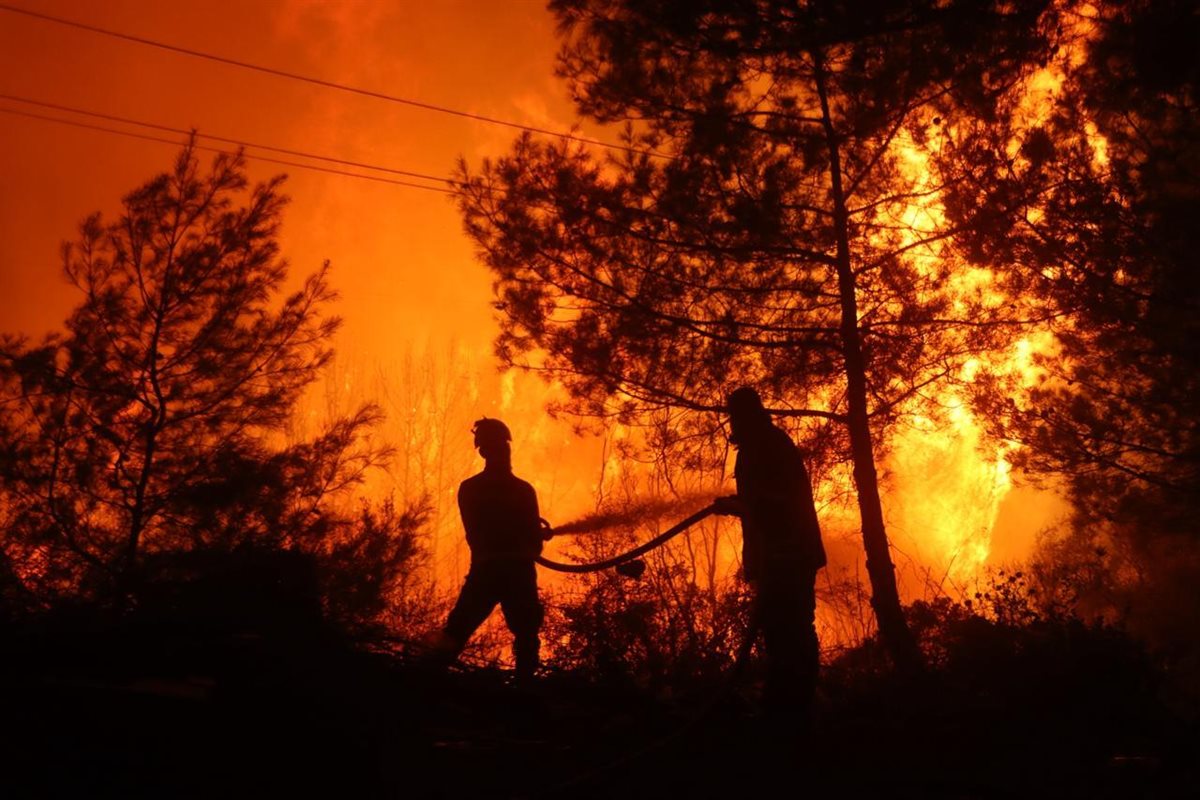 <strong>حرائق اللاذقية</strong>