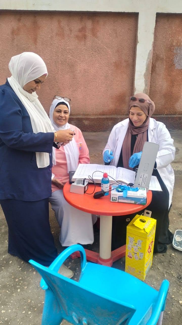 انتخابات مجلس النواب 2025