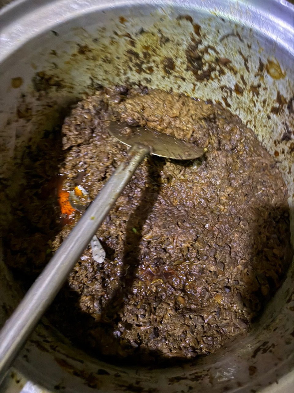 ضبط 132 رأس ماشية رؤوس ماشيه بتلو محظور ذبحها بالفيوم 