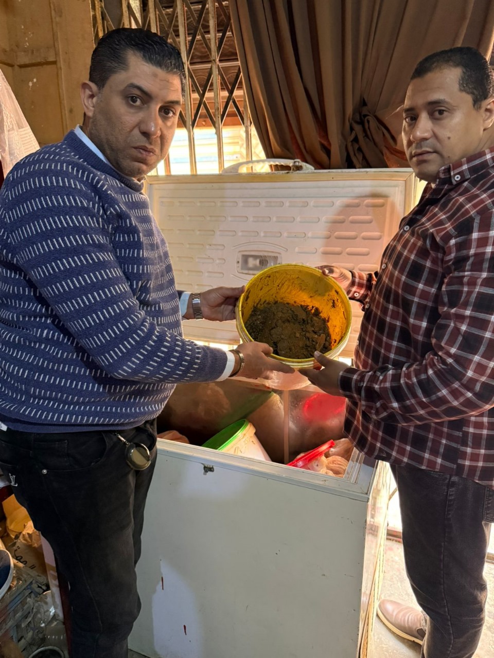 ضبط 132 رأس ماشية رؤوس ماشيه بتلو محظور ذبحها بالفيوم 