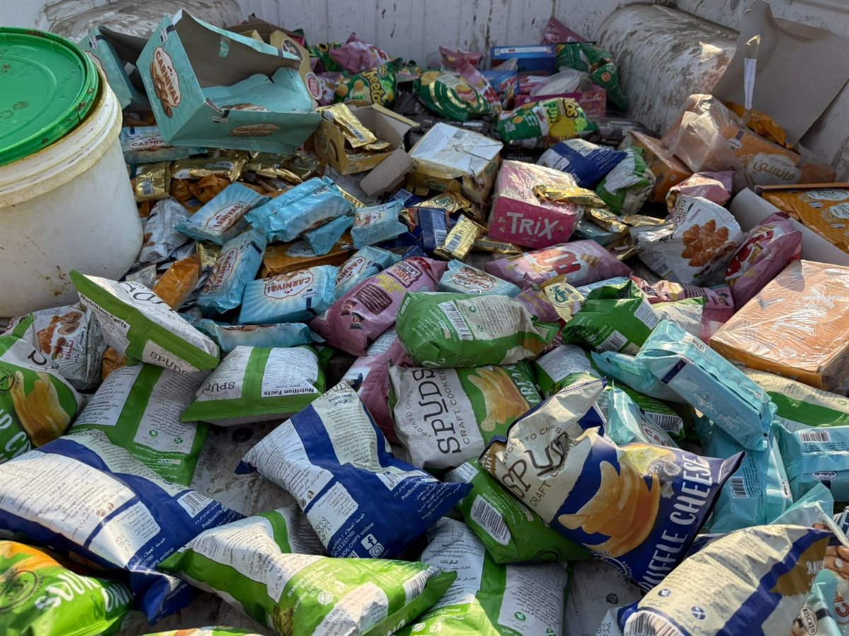 ضبط 132 رأس ماشية رؤوس ماشيه بتلو محظور ذبحها بالفيوم 