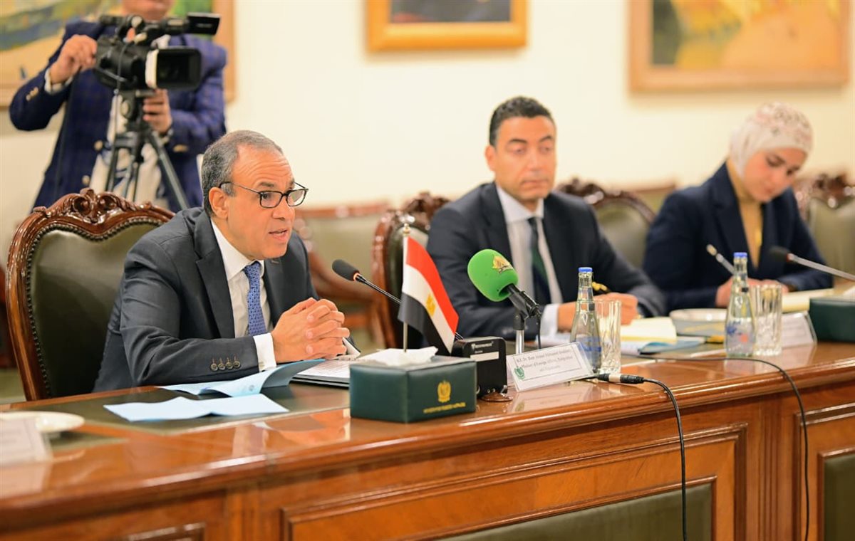 <strong>وزيرى الخارجية المصري والباكستاني</strong>