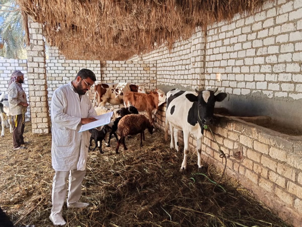 جانب من الحملة القومية 