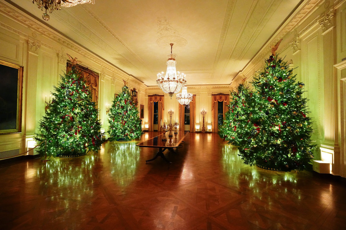 <strong>شجرة عيد الميلاد</strong>