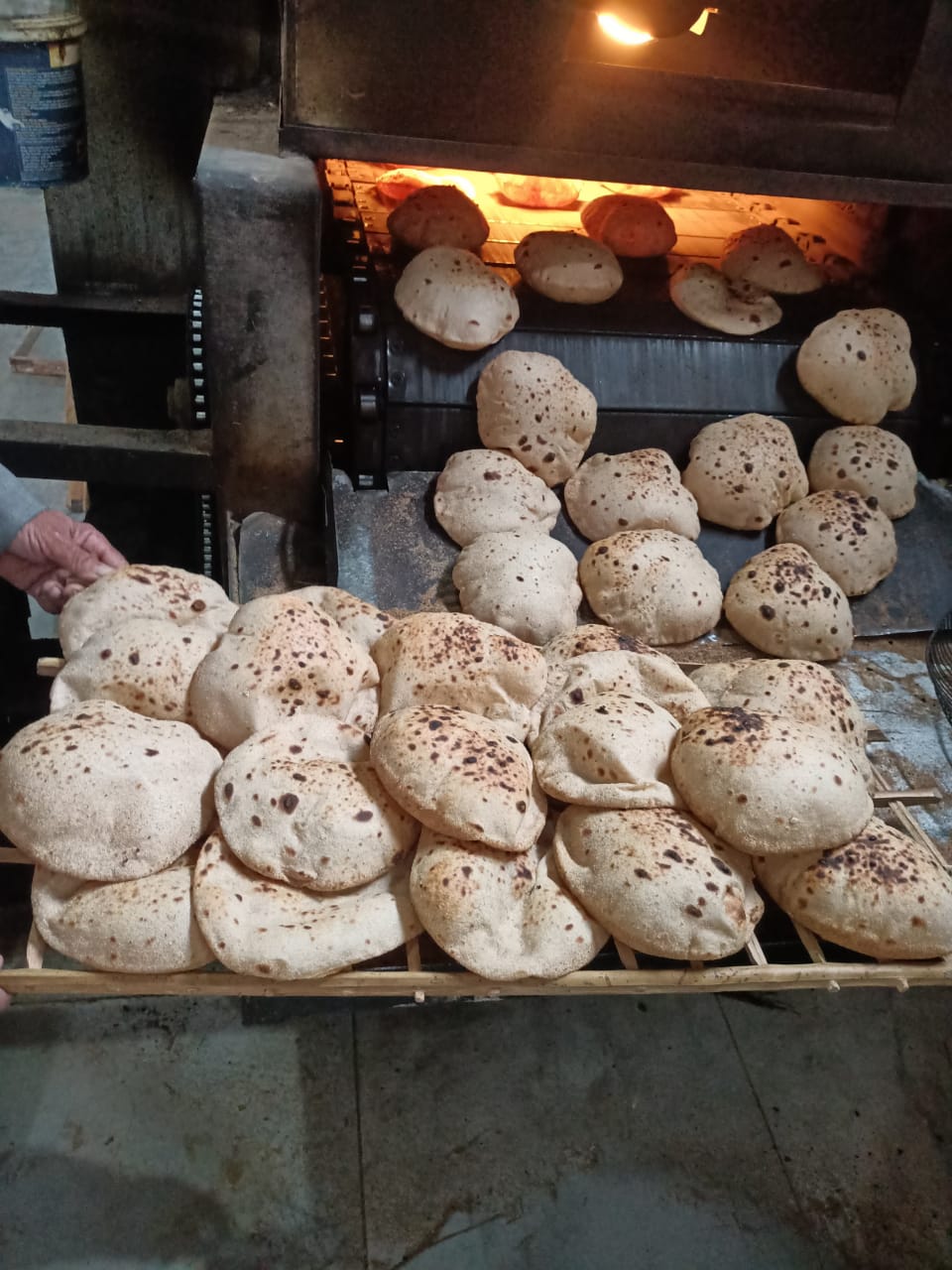 تموين الفيوم يضبط 27 سبعه وعشرون صندوق رنجة منتهيه الصلاحية