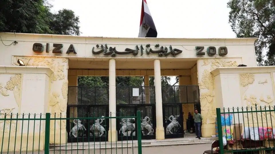 موعد افتتاح حديقة الحيوان