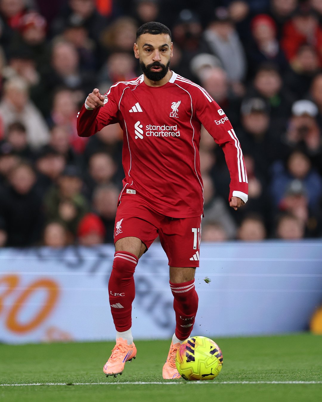 نتيجة وأهداف مباراة ليفربول وبرايتون