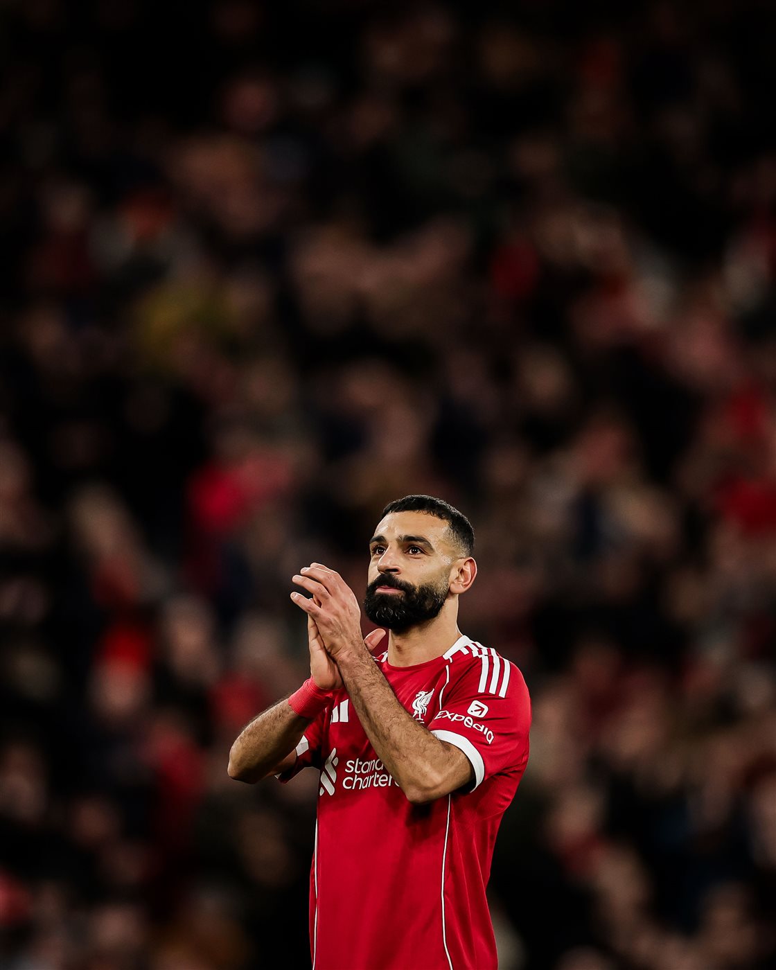 ليفربول ضد برايتون