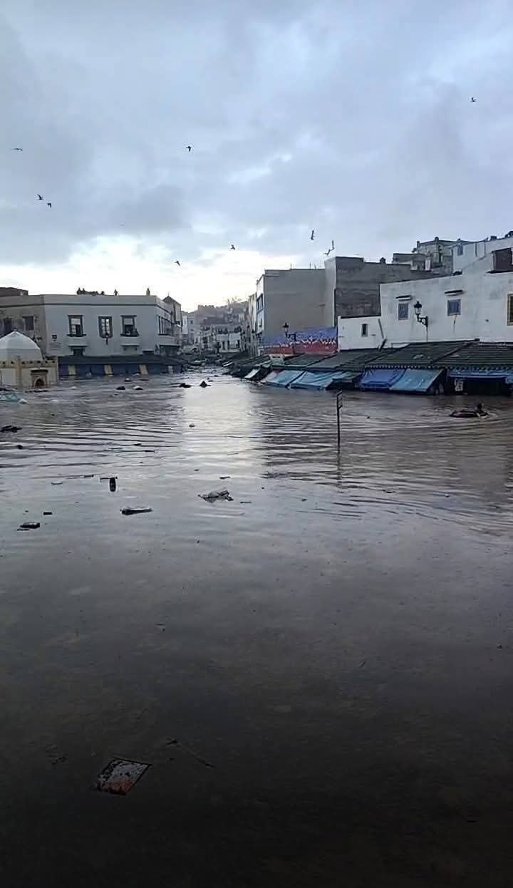<strong>فيضانات المغرب</strong>