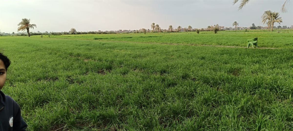 أهالي عزبة حفيظة هانم بالفيوم يستغيثون بوزير الأوقاف بعد زيادة إيجار الأرض من 13 ألفًا إلى 32 ألفًا