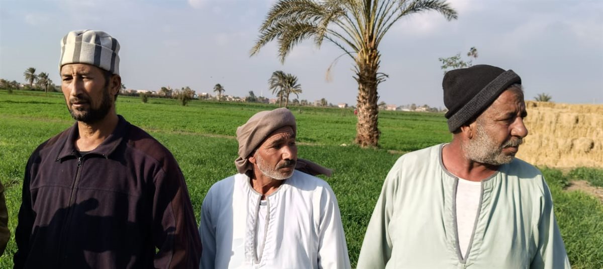 أهالي عزبة حفيظة هانم بالفيوم يستغيثون بوزير الأوقاف بعد زيادة إيجار الأرض من 13 ألفًا إلى 32 ألفًا