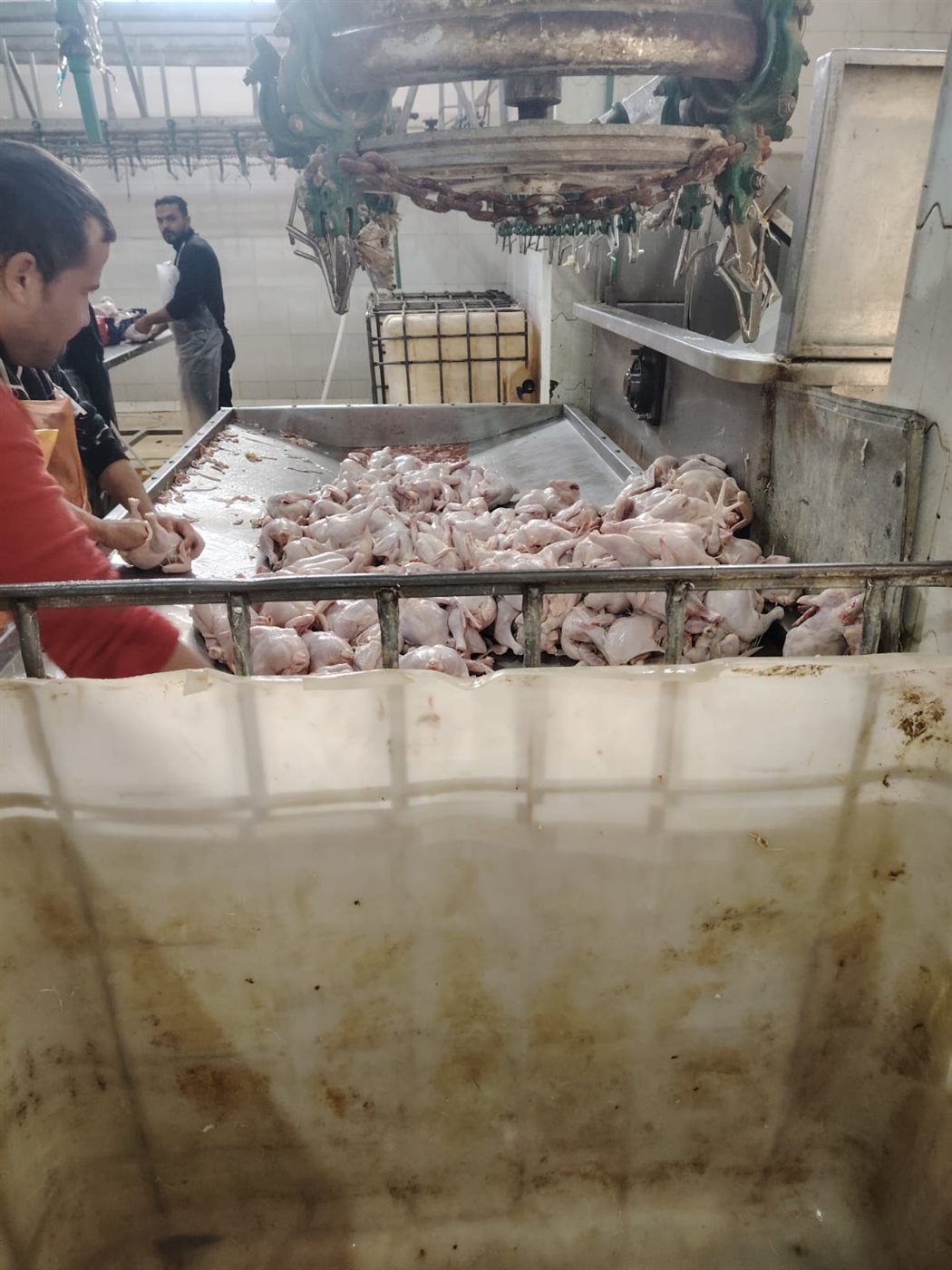 ضبط 14 شيكارة سماد يوريا خاصة بوزارة الزراعة محظور تداولها بالأسواق<br>&nbsp;