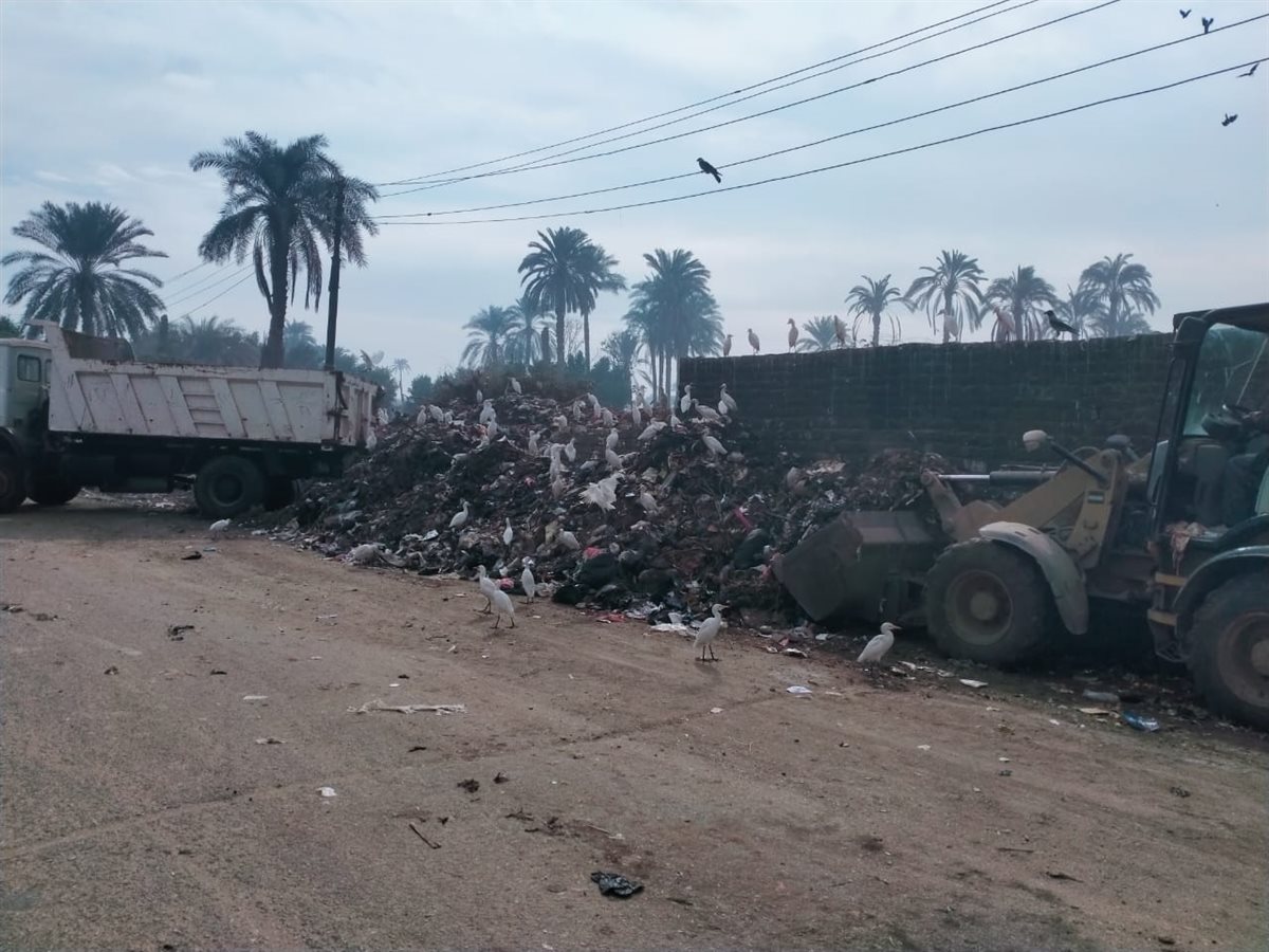 رئيس مركزابشواى: رفع ٣٤٠ طن قمامة ومخلفات بحملة نظافة لأعمال التشجير والتجميل<br>