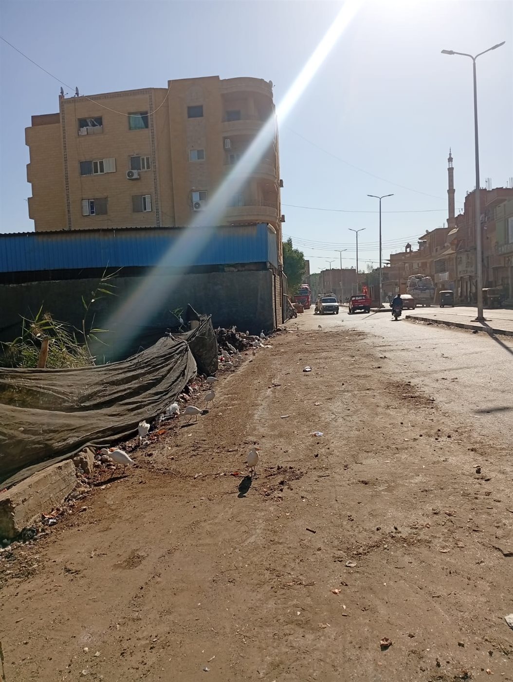 رئيس مركزابشواى: رفع ٣٤٠ طن قمامة ومخلفات بحملة نظافة لأعمال التشجير والتجميل<br>