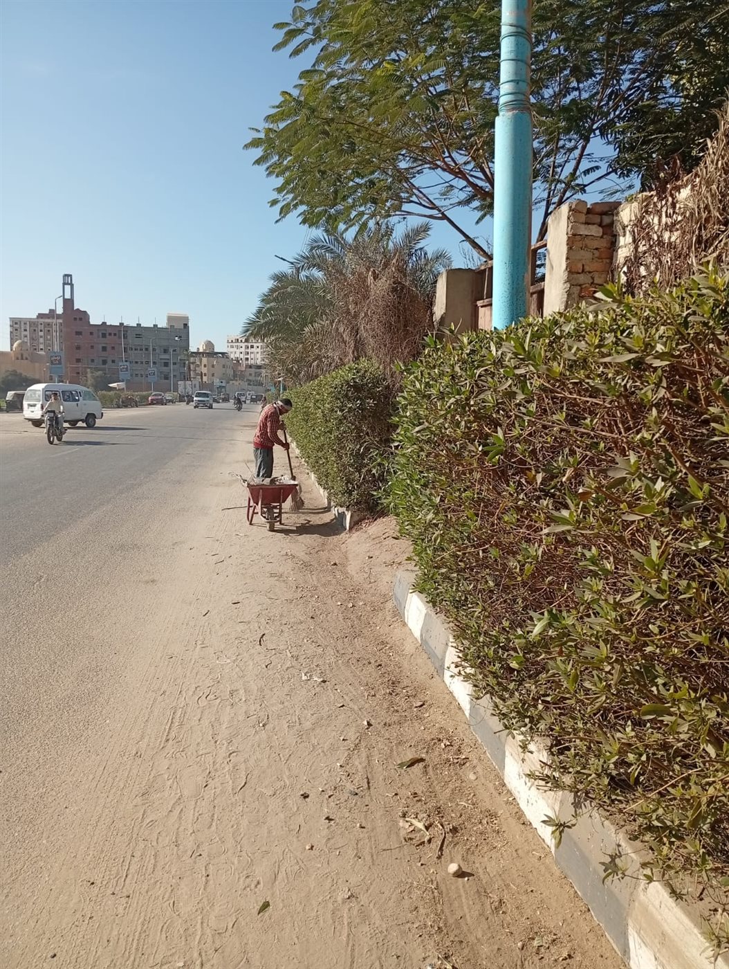 رئيس مركزابشواى: رفع ٣٤٠ طن قمامة ومخلفات بحملة نظافة لأعمال التشجير والتجميل<br>