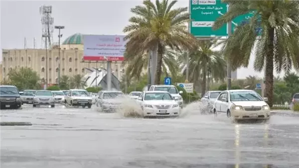 <strong>حالة الطقس في السعودية اليوم</strong>