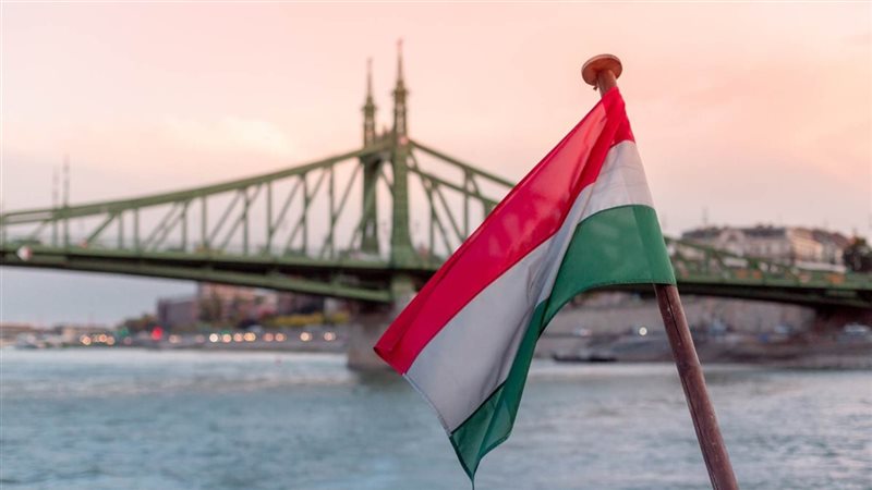 <strong>علم المجر</strong>