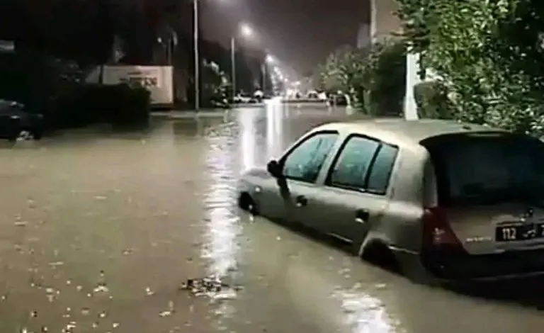 <strong>العاصفة هاري</strong>