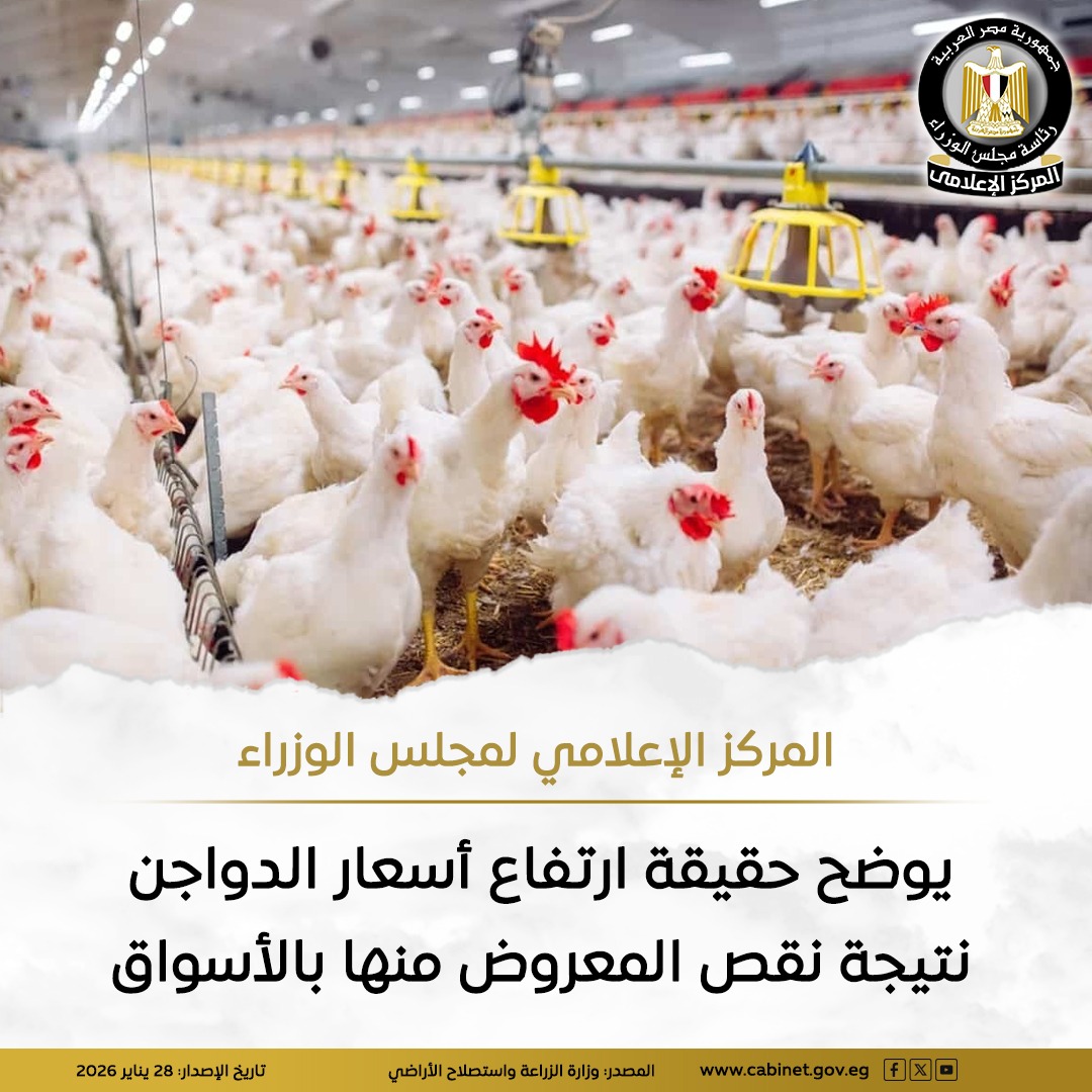 البيان&nbsp;
