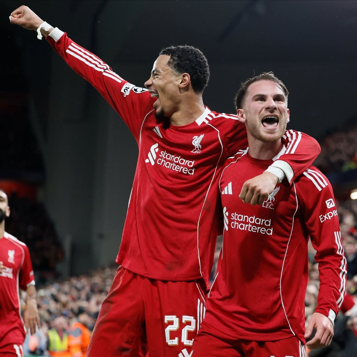 ليفربول ونيوكاسل
