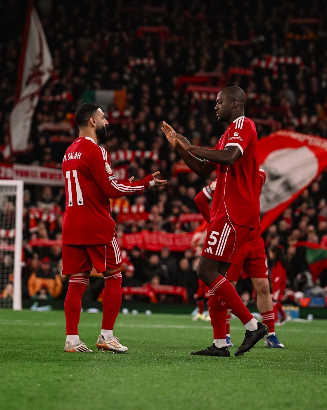 ليفربول ونيوكاسل
