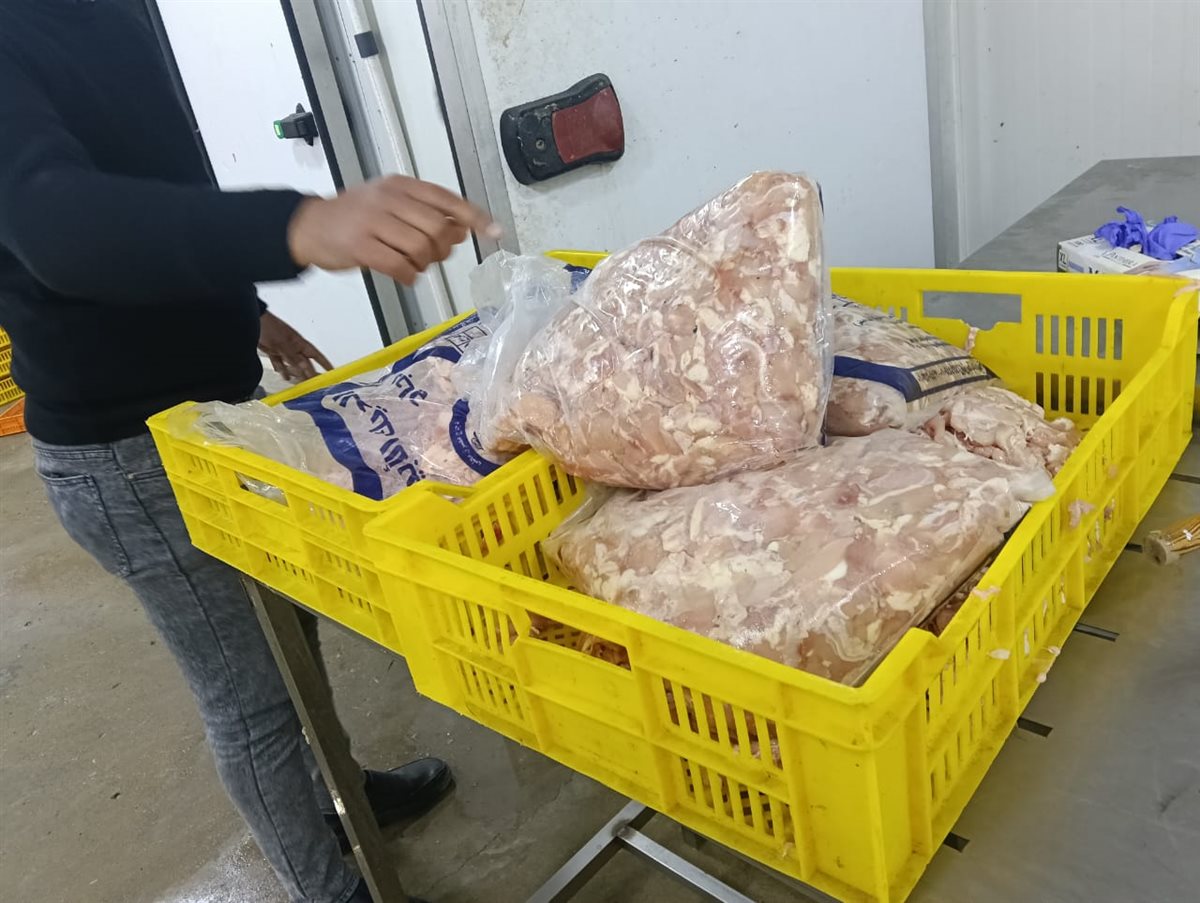 تكثيف حملات الطب البيطري على المجازر والأسواق وأماكن عرض وبيع اللحوم والدواجن والأسماك
