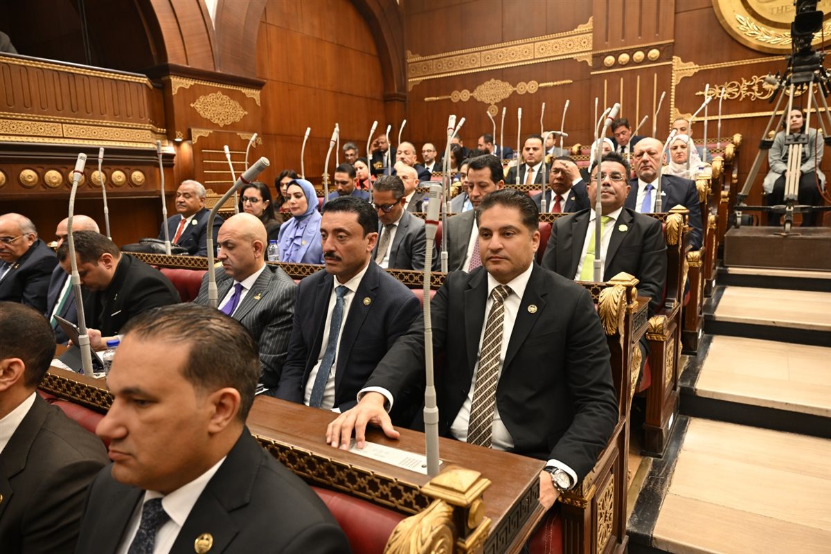 جانب من مناقشة المشروع بمجلس الشيوخ&nbsp;