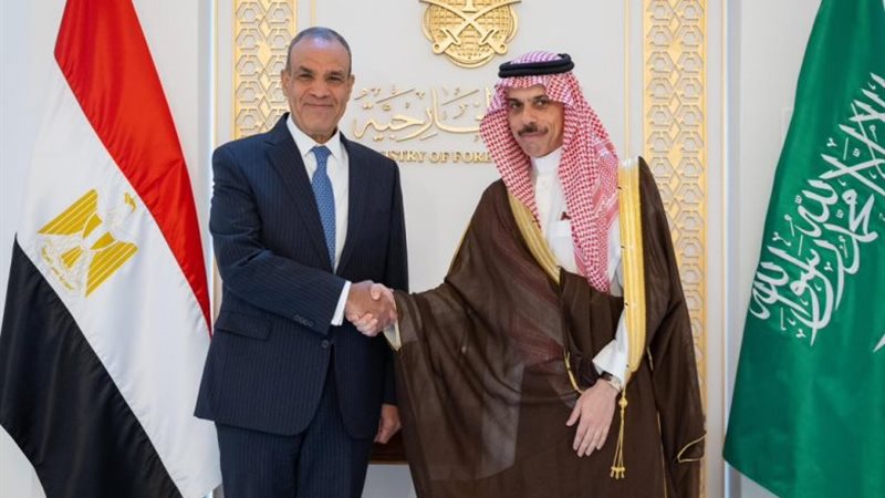 <strong>وزير الخارجية يلتقي نظيره السعودي</strong>