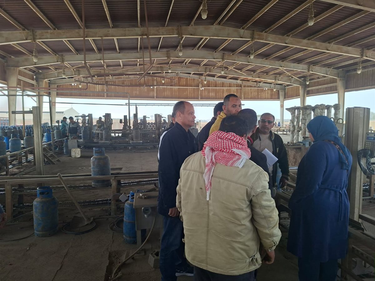 حملة تفتيشية على محطات الوقود وتعبئة البوتاجاز بطامية الفيوم&nbsp;