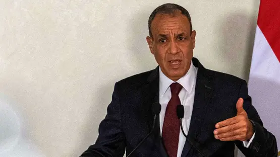 <strong>الدكتور بدر عبد العاطي</strong>