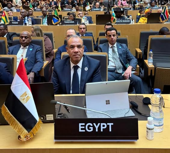 <strong>وزير الخارجية يترأس وفد مصر في قمة الاتحاد الأفريقي</strong>